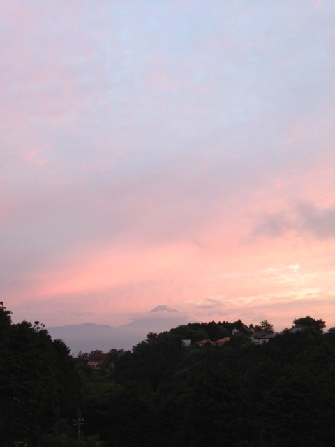 写真 (16)